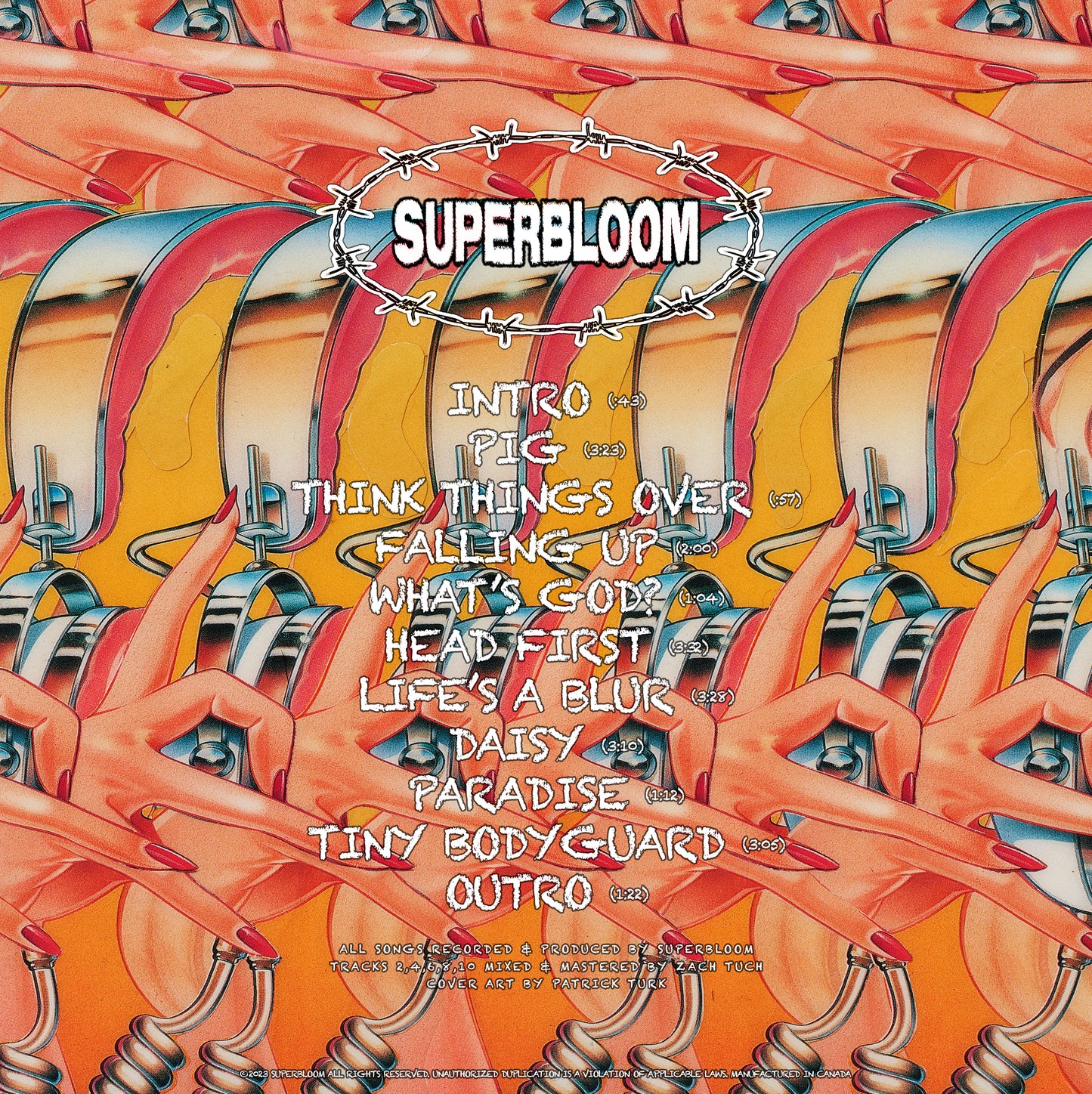 Superbloom Vinyl Life's a Blur